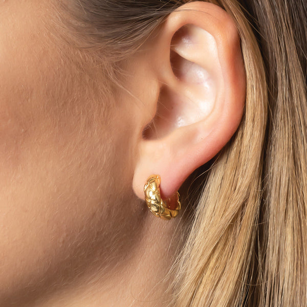 Sadie Earrings-14K Gold Dipped
