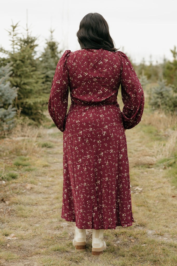 chinese dress ladies Louanne Slinky Long Sleeve Maxi Dress