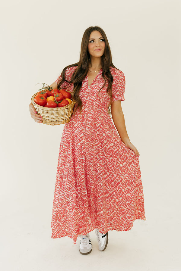 Julia Dress-Red/White