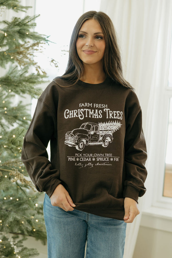 Farm Fresh Christmas Pullover-Brown