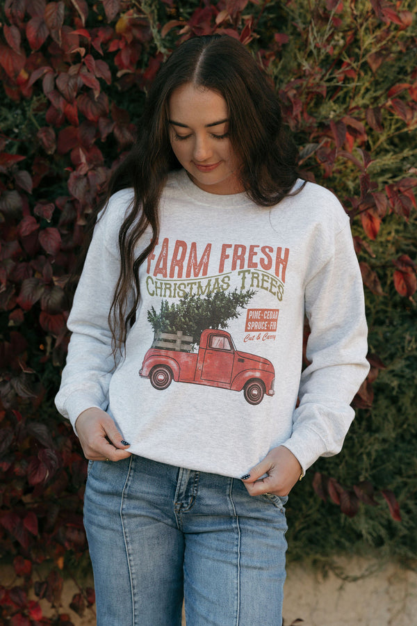 Christmas Truck Pullover-Ash