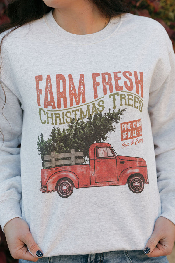 Christmas Truck Pullover-Ash