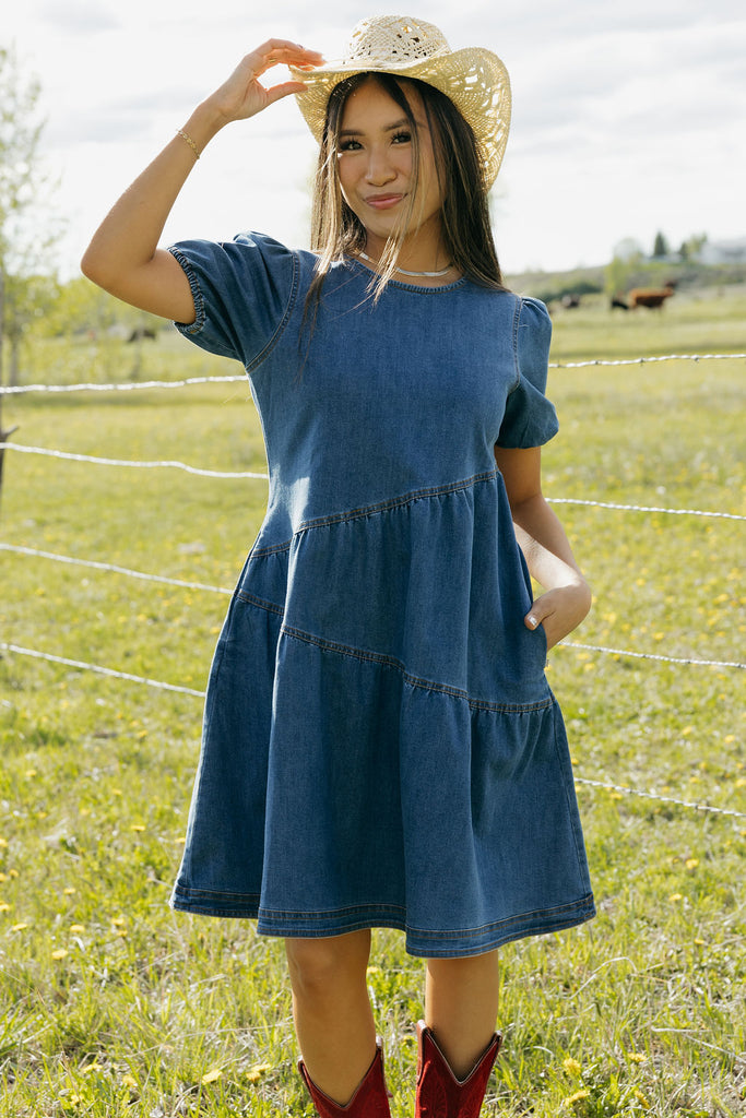 Mckinley Dress-Denim – Love Olive Co