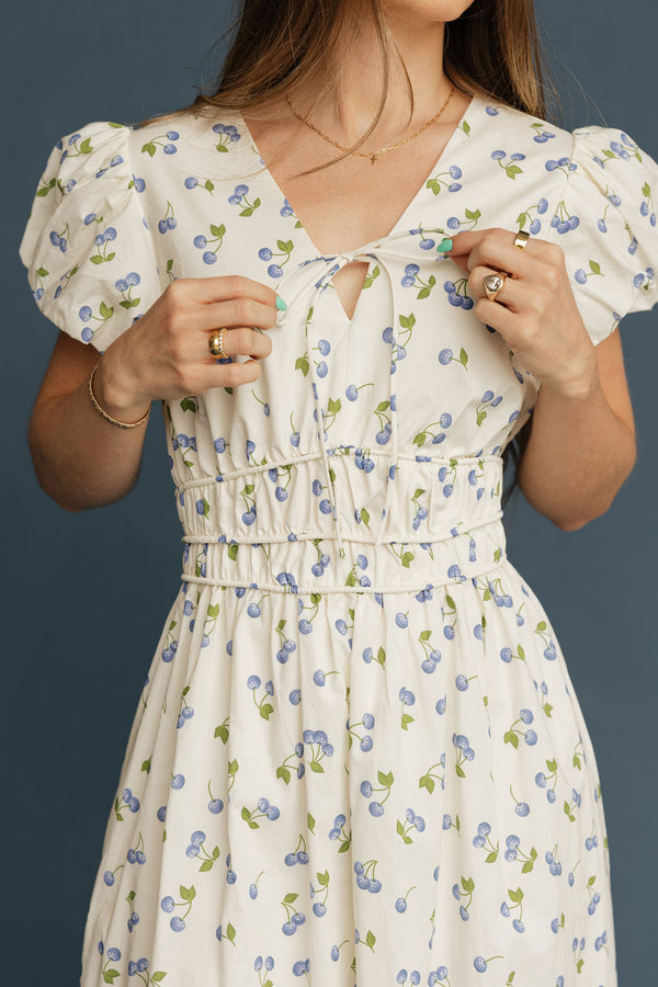 Morgan Dress-Blueberry