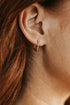 Soso Hoop Earrings-Gold Filled